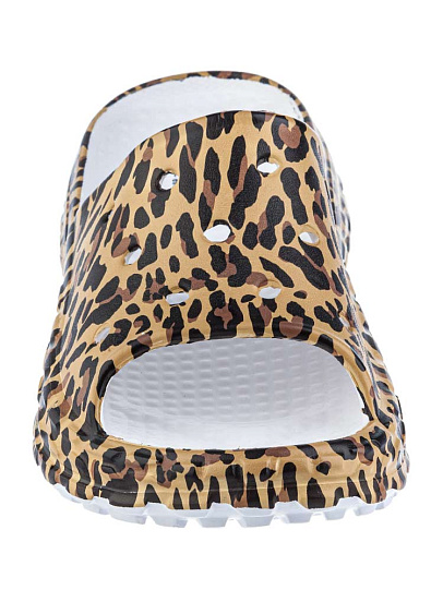 SD020-012 Сланцы